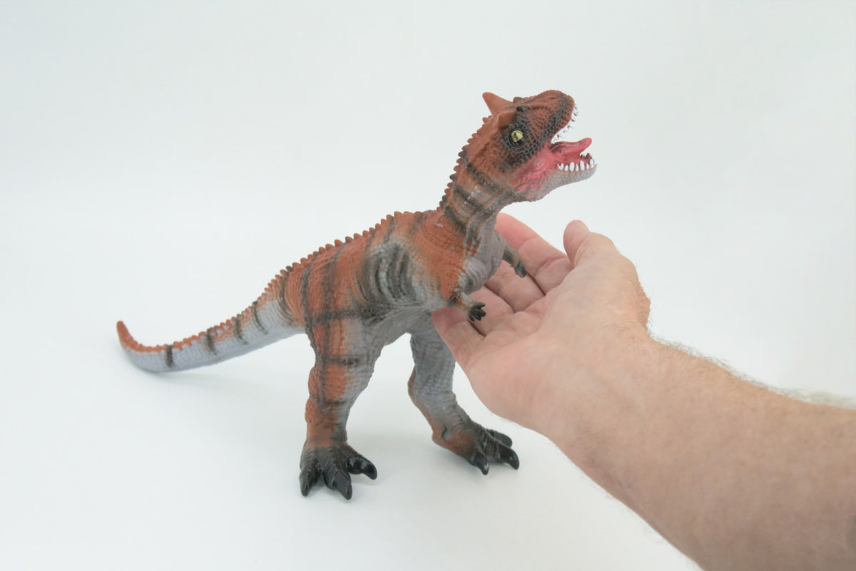 Carnotaurus, Horned Carnivore, Cretaceous Dinosaur, Hand Painted, Educational, Soft Rubber, Lifelike Model, Gift,    13"   AR11 B305
