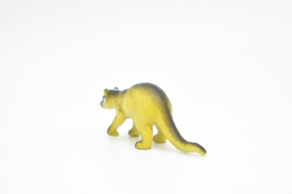 Coati, White Nose, Coatimundi, (Nasua narica), Very Nice Plastic Animal, Hand Painted, Educational, Figure, Lifelike, Diorama Model, Replica, Toy, Kids, Gift,   2 1/2 Inches.   CWG132 B238