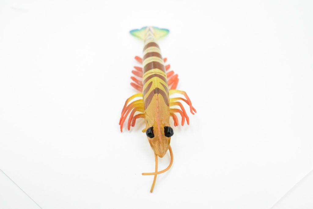 Shrimp, Prawn, Tiger Shrimp, Museum Quality, Hand Painted, Rubber Crustaceans, Realistic Toy Figure, Model, Replica, Kids, Educational, Gift,     7"      CH245 BB122