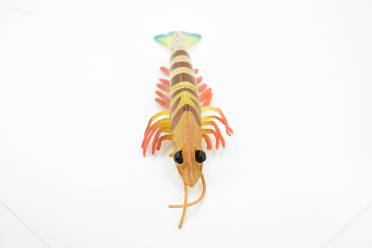 Shrimp, Prawn, Tiger Shrimp, Museum Quality, Hand Painted, Rubber Crustaceans, Realistic Toy Figure, Model, Replica, Kids, Educational, Gift,     7"      CH245 BB122