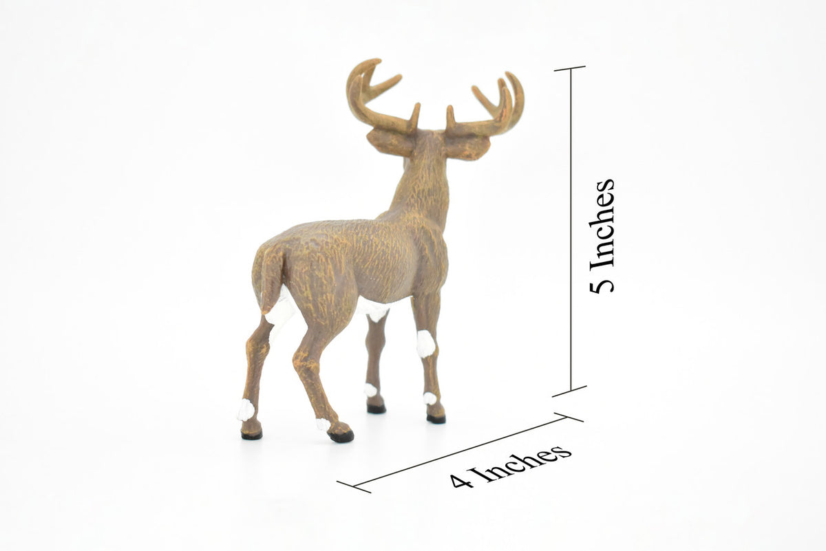 Whitetail Buck, Deer, Museum Quality, Hand Painted, Rubber Animal, Realistic Toy Figure, Diorama Model, Kids, Educational,  5 Inches.