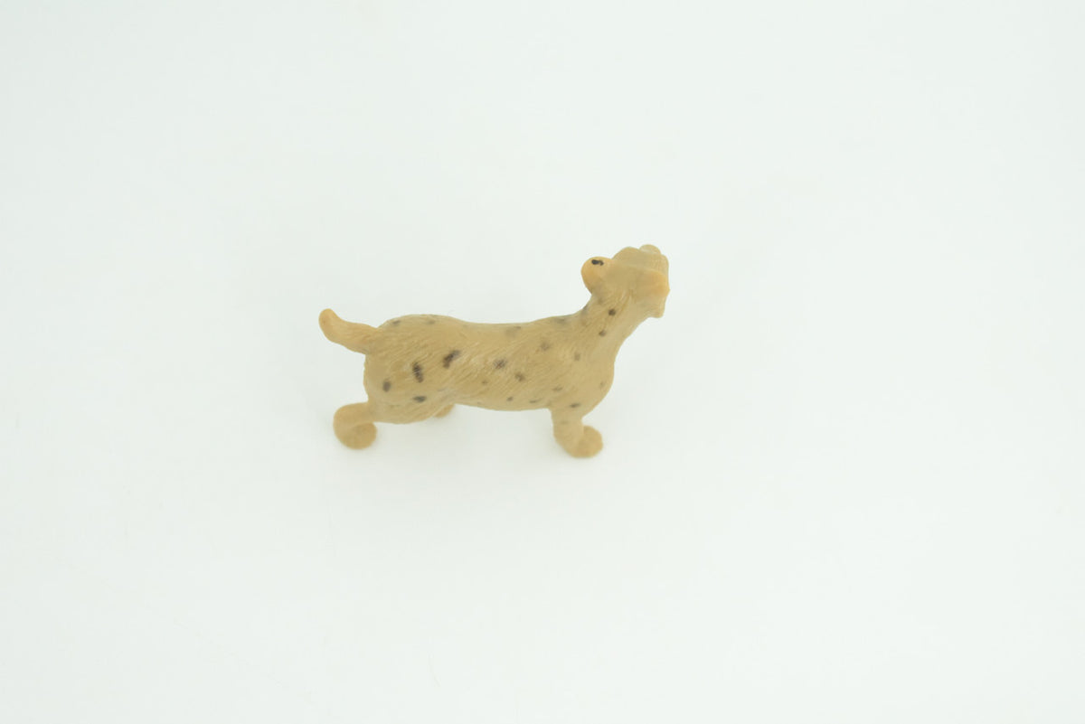 Bobcat, Cub, Nice Rubber Animal, Educational, Realistic Cat, Hand Painted, Figure, Lifelike Model, Figurine, Replica, Gift,     2 Inches      SF74 B103