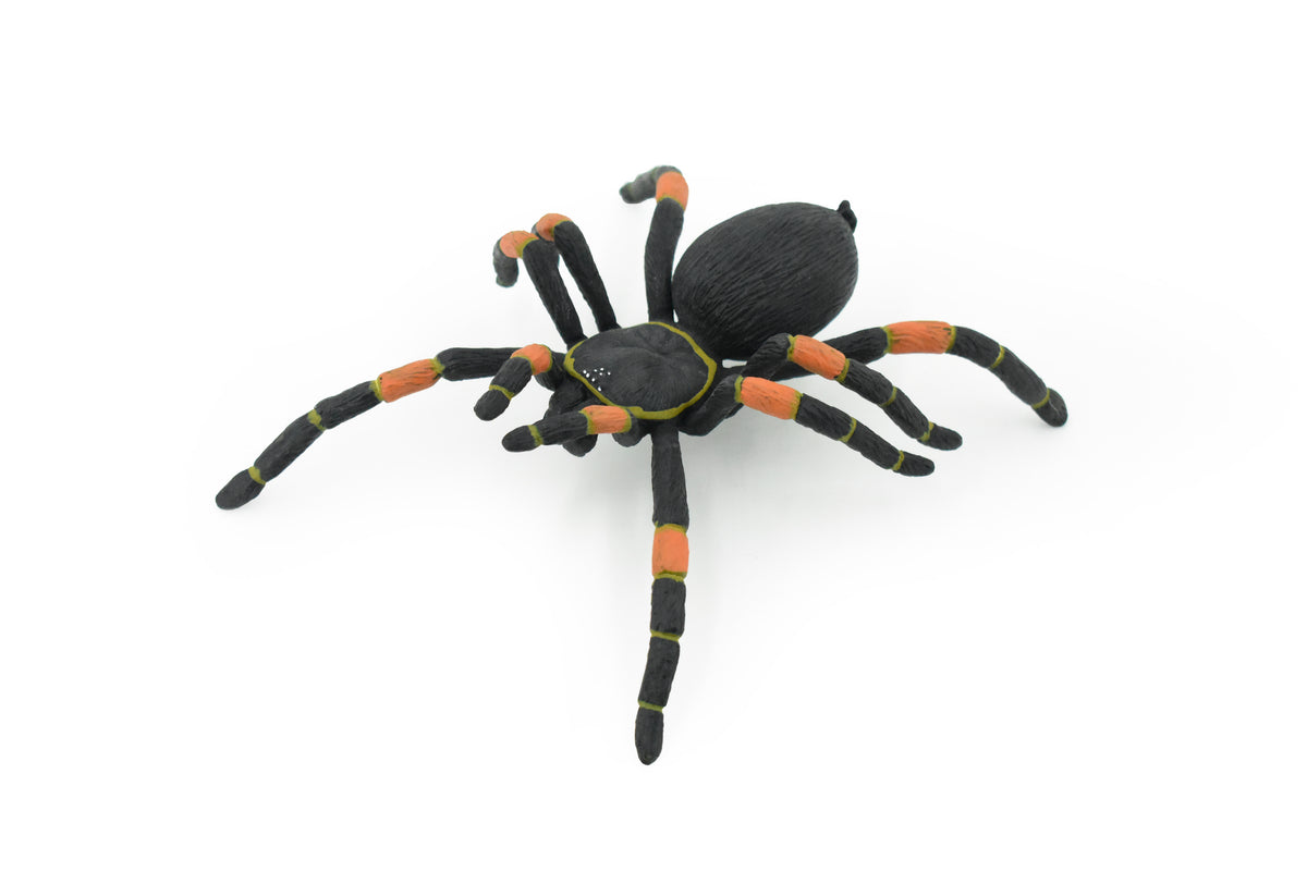 Spider, Tarantula, Mexican Red-kneed, Museum Quality Rubber Insect, Educational, Realistic Hand Painted Figure, Lifelike Model,        8"         F3635 B210