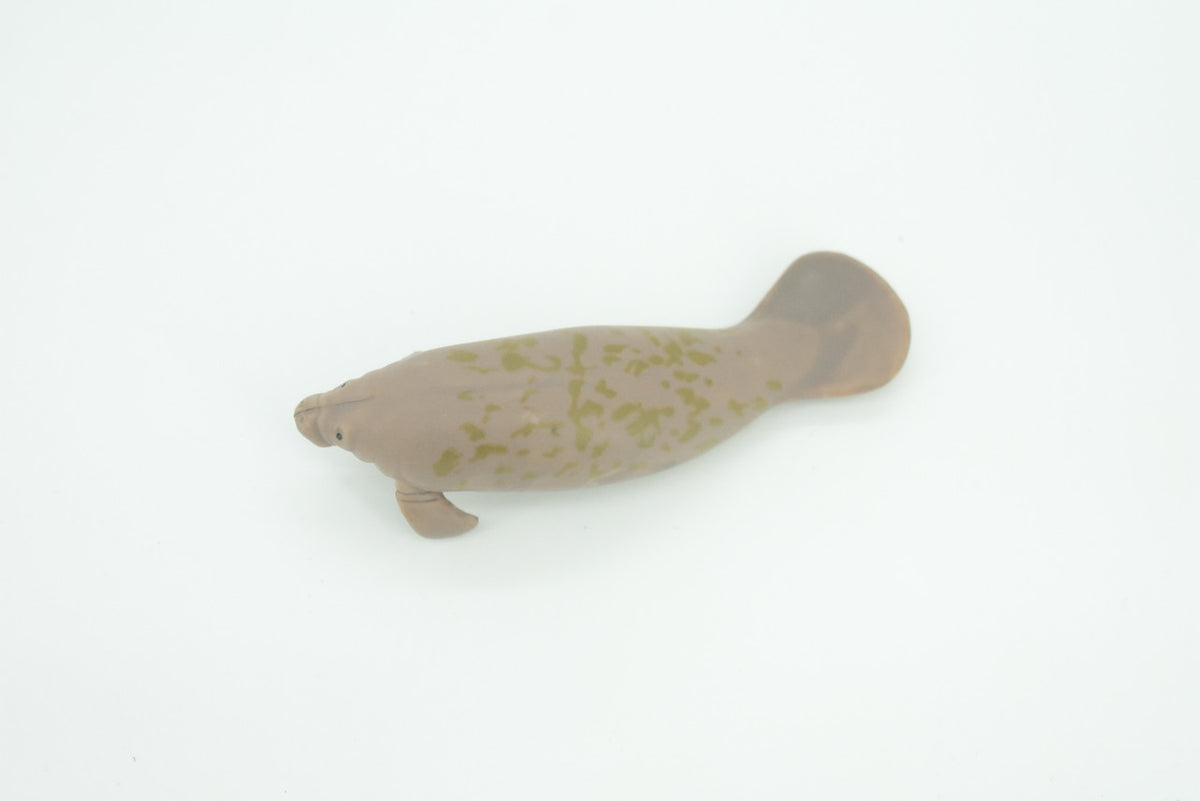 Manatee, Trichechus, Sea cow, Hand Painted, Educational, Rubber Animal, Realistic Figure, Lifelike, Gift,    3"    SF46 B15