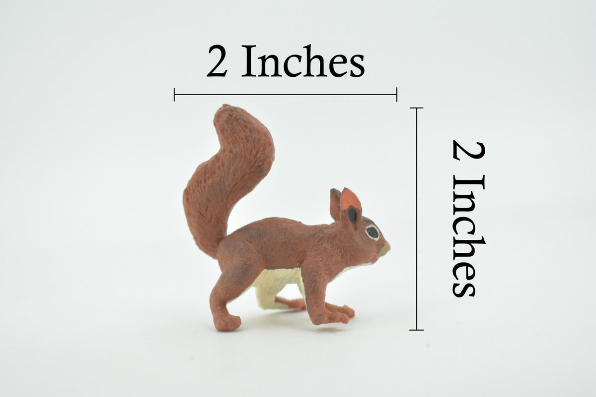 Squirrel, Red, American, High Quality, Hand Painted, Rubber, Rodent, Realistic, Figure, Model, Replica, Toy, Kids, Educational, Gift,   2"      CH655 BB169