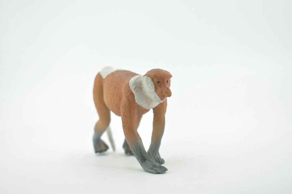 Monkey, Proboscis, Long Nosed, Primate, Museum Quality, Hand Painted, Rubber Animal, Educational, Realistic, Figure, Toy, Kids, Replica, Gift,        4"     CH682 BB172