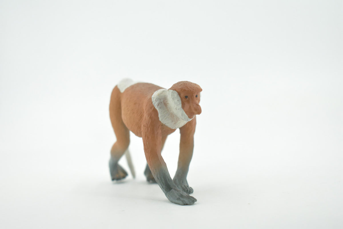 Monkey, Proboscis, Long Nosed, Primate, Museum Quality, Hand Painted, Rubber Animal, Educational, Realistic, Figure, Toy, Kids, Replica, Gift,        4"     CH682 BB172