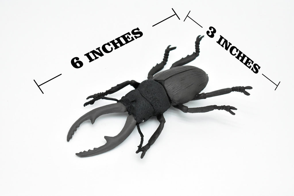 Beetle, Giant Stag, Very Nice Rubber Replica     6"   -    CWG84 B153