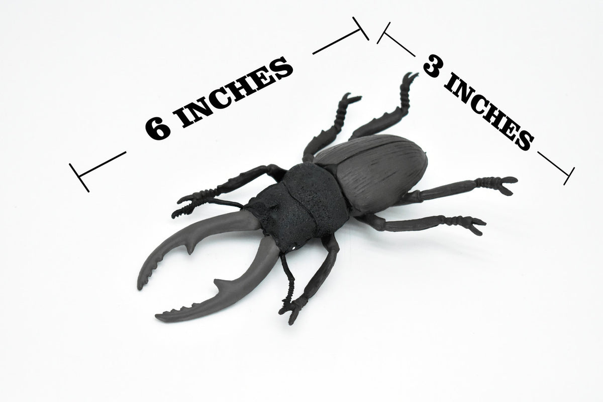 Beetle, Giant Stag, Very Nice Rubber Replica     6"   -    CWG84 B153