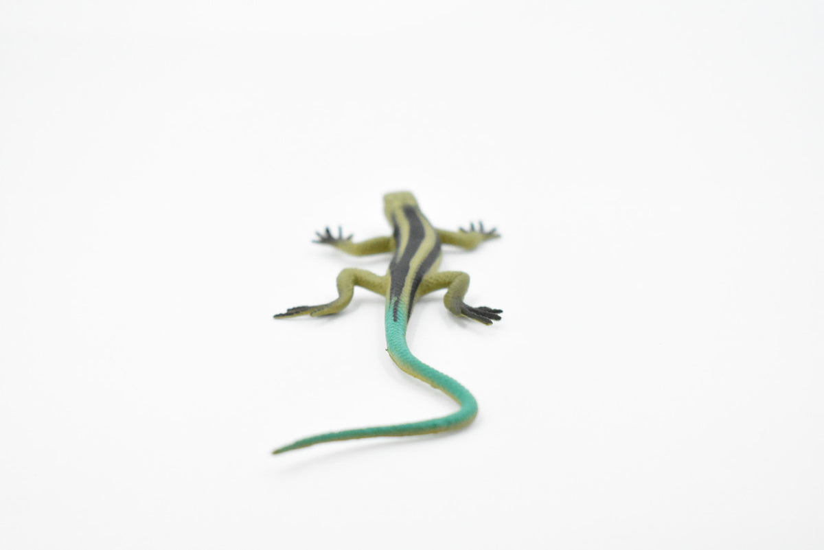 Lizard, Five-Lined Skink, Juvenile, Rubber, Reptile Toy, Realistic Figure, Model, Replica, Kids, Educational, Gift,       5"        F6106 B381