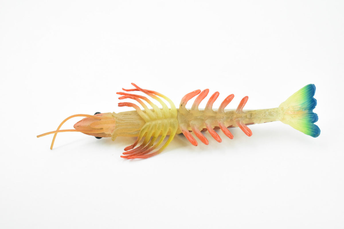 Shrimp, Prawn, Tiger Shrimp, Museum Quality, Hand Painted, Rubber Crustaceans, Realistic Toy Figure, Model, Replica, Kids, Educational, Gift,     7"      CH245 BB122