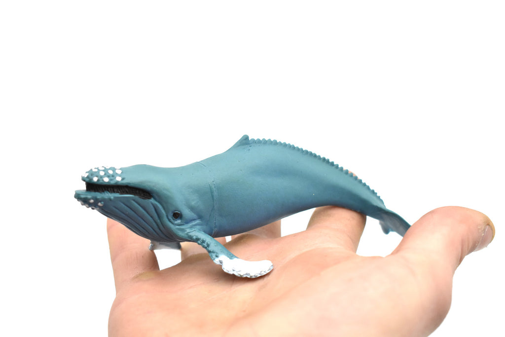 Humpback Whale, Marine Mammal, Very Nice Design, Hand Painted, Rubber, Educational, Diorama Model, Realistic Figure, Figurine, Replica, Toy, Kids, Gift,    6 Inches.    F473 B5