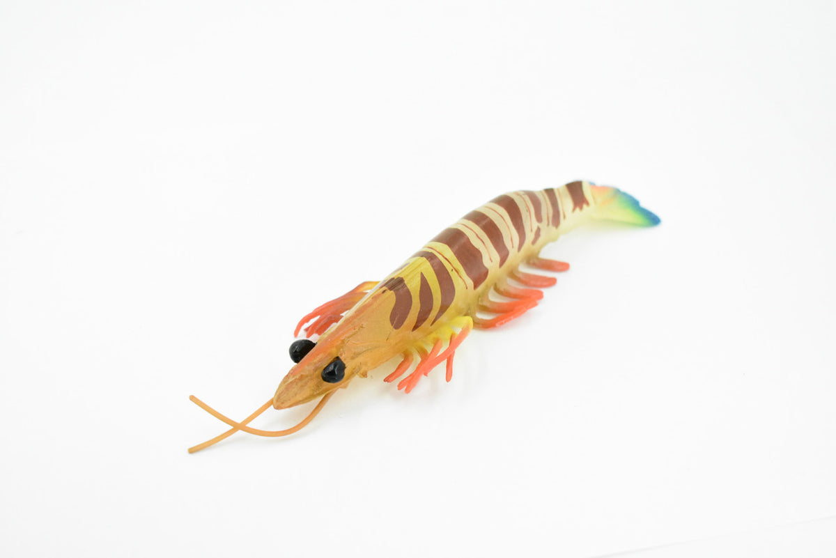 Shrimp, Prawn, Tiger Shrimp, Museum Quality, Hand Painted, Rubber Crustaceans, Realistic Toy Figure, Model, Replica, Kids, Educational, Gift,     7"      CH245 BB122