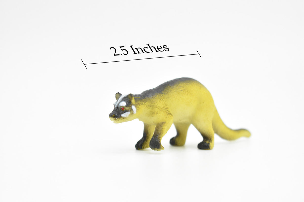 Coati, White Nose, Coatimundi, (Nasua narica), Very Nice Plastic Animal, Hand Painted, Educational, Lifelike, Diorama Model, Replica, Toy, Kids,   2 1/2 Inches. 
