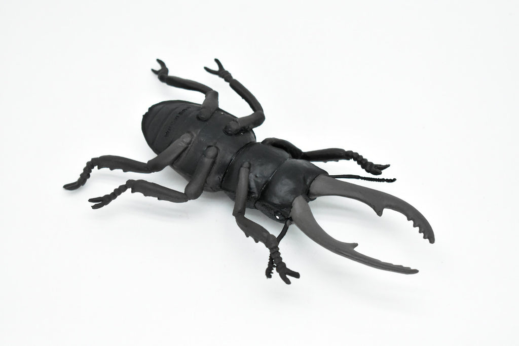 Beetle, Giant Stag, Very Nice Rubber Replica     6"   -    CWG84 B153