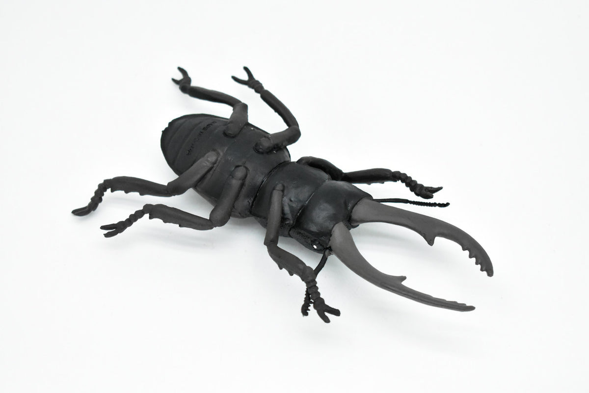 Beetle, Giant Stag, Very Nice Rubber Replica     6"   -    CWG84 B153