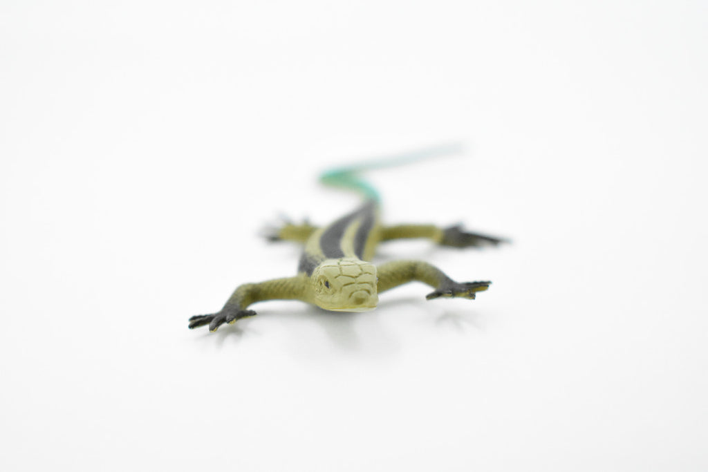 Lizard, Five-Lined Skink, Juvenile, Rubber, Reptile Toy, Realistic Figure, Model, Replica, Kids, Educational, Gift,       5"        F6106 B381