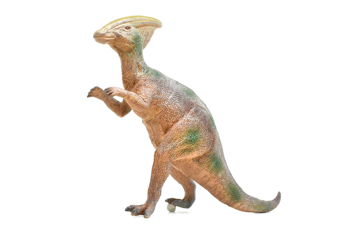 Parasaurolophus, Late Cretaceous, Dinosaur, Museum Quality, Realistic, Educational, Hand Painted, Lifelike Design, Diorama Model, Replica, Toy,  14 Inches 