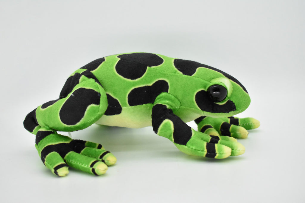 Frog, Green, Poison Dart Realistic Cute Stuffed Animal Plush Toy Kids Educational Gift    9"      RI09 B256