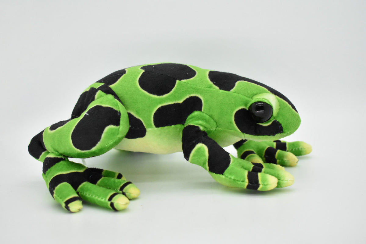 Frog, Green, Poison Dart Realistic Cute Stuffed Animal Plush Toy Kids Educational Gift    9"      RI09 B256