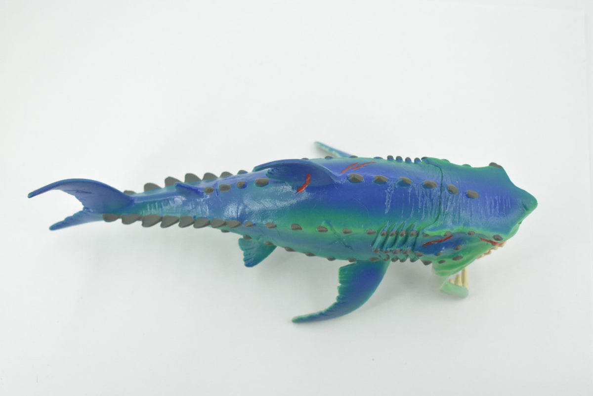 Fish, Monster, Moveable Jaws, Prehistoric Shark, High Quality, Hand Painted, Realistic, Toy, Figure, Model, Replica, Kids, Educational, Gift,       8"     CH612 BB166