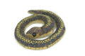 Snake Finger Puppet, Very Nice Plush Snake, Stuffed Reptile, Educational, Realistic, Lifelike Model, Gift,    5"   FM09 B235
