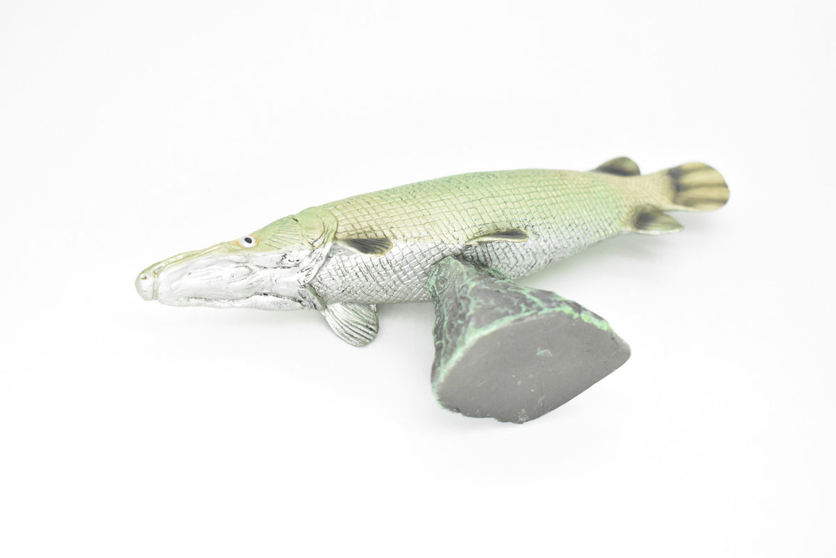 Alligator Gar, Fish, Atractosteus spatula, Very Realistic Rubber Figure, Model, Educational, Animal, Hand Painted Figurines,   6"   CH017 BB71