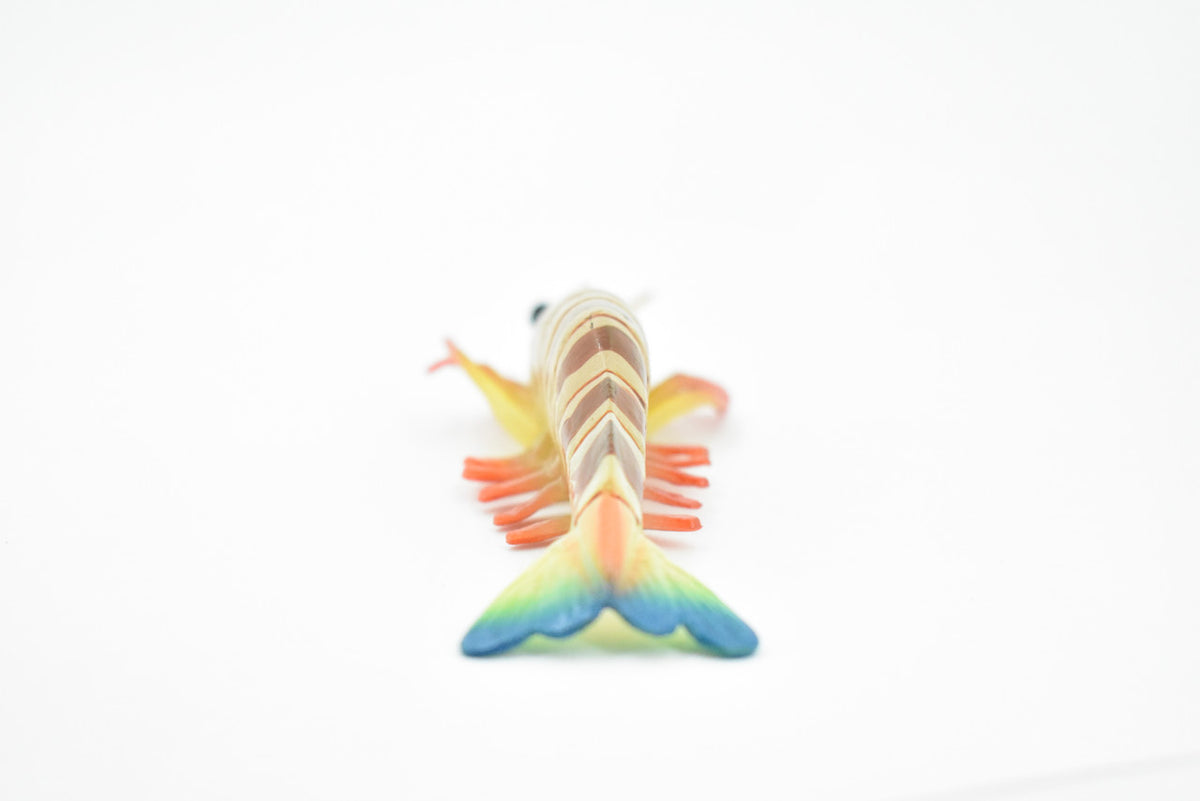 Shrimp, Prawn, Tiger Shrimp, Museum Quality, Hand Painted, Rubber Crustaceans, Realistic Toy Figure, Model, Replica, Kids, Educational, Gift,     7"      CH245 BB122