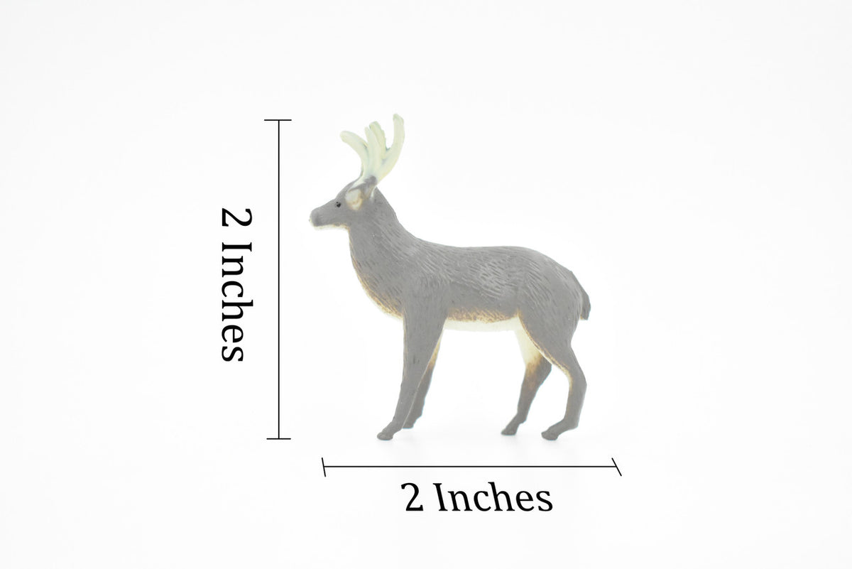 Deer, Whitetail, Very Nice Plastic Animal, Educational, Toy, Kids, Realistic Figure, Lifelike Model, Figurine, Replica, Gift,      2"     F211-B9