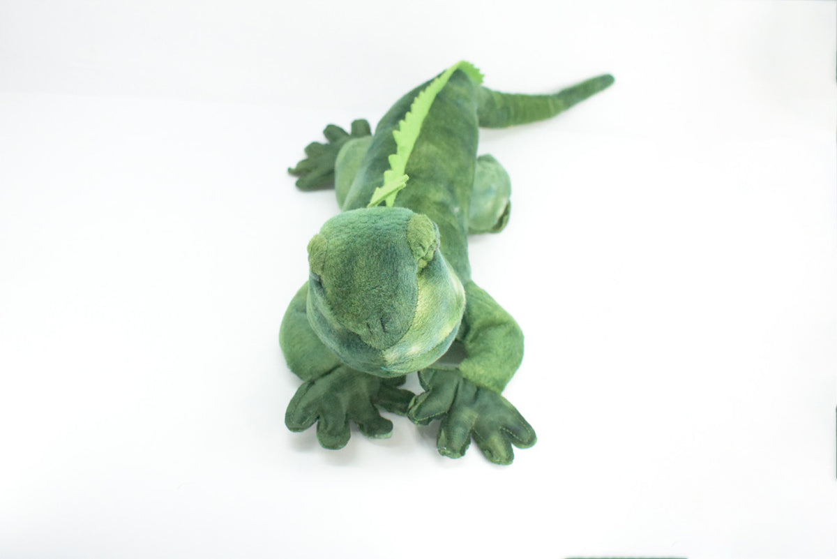 Iguana, Very Nice Plush Reptile, Educational, Realistic Lizard Design, Educational, Figure, Lifelike, Gift,    20"   RE07 BB321
