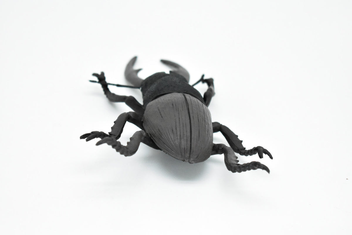 Beetle, Giant Stag, Very Nice Rubber Replica     6"   -    CWG84 B153