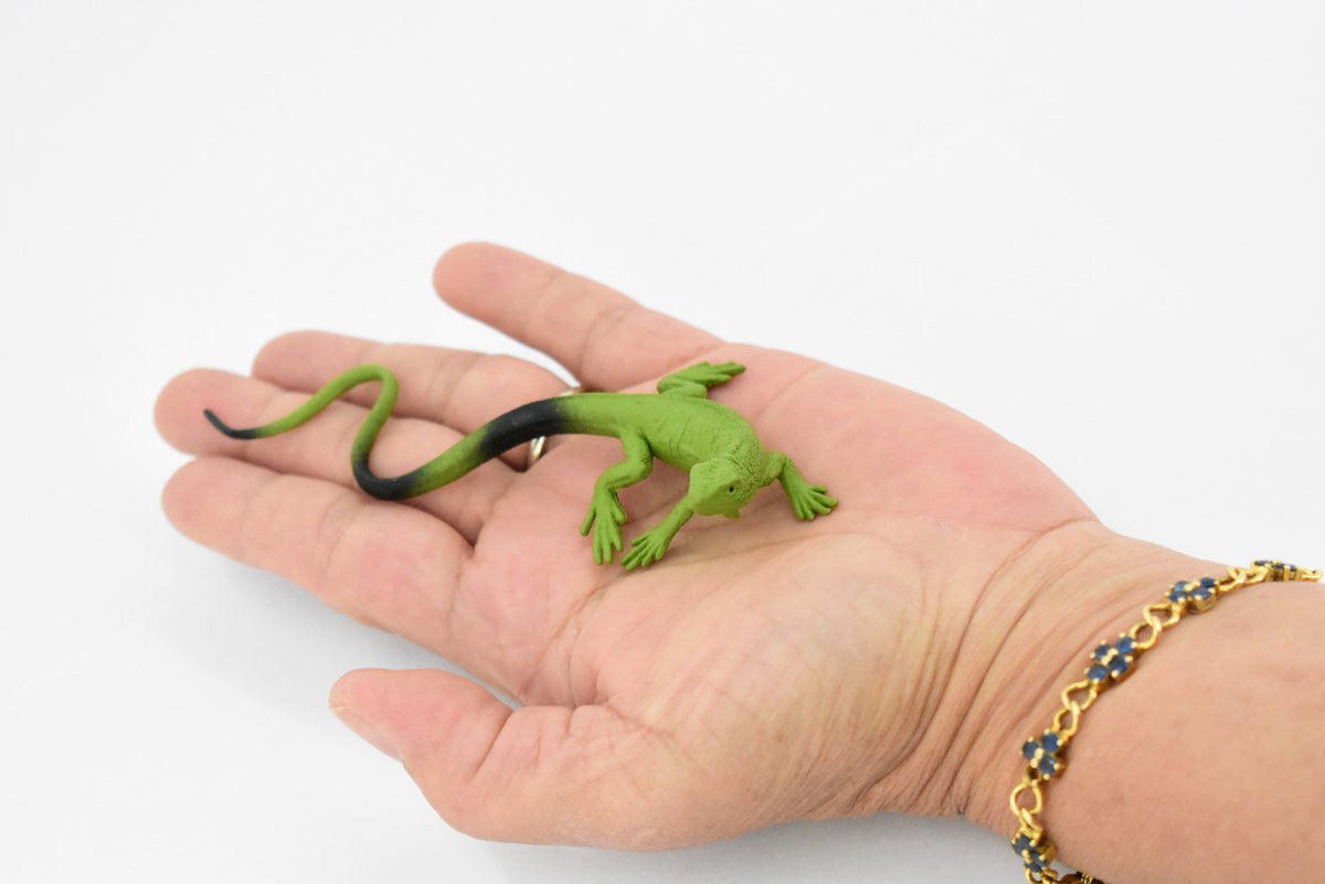 Iguana, Lizard, Rubber Reptile, Toy, Educational, Realistic, Figure, Lifelike Model, Figurine, Replica, Gift,      4 1/2"