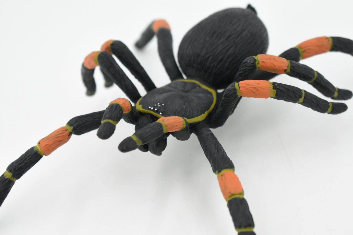 Spider, Tarantula, Mexican Red-kneed, Museum Quality Rubber Insect, Educational, Realistic Hand Painted Figure, Lifelike Model,        8"         F3635 B210