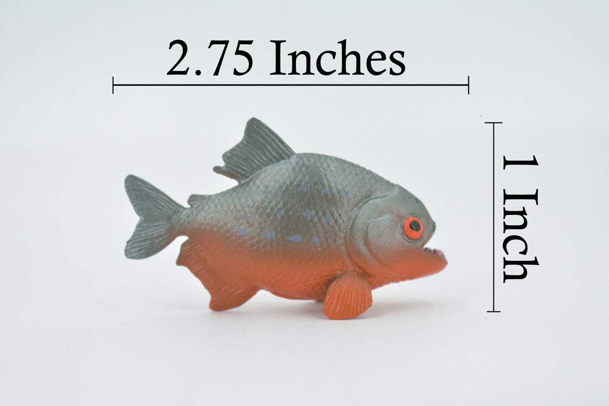 Fish, Red Bellied Pranha,  Museum Quality, Hand Painted, Realistic, Rubber Fish, Figure, Model, Replica, Toy, Kids, Educational, Gift,      2 3/4"   CH505 BB156