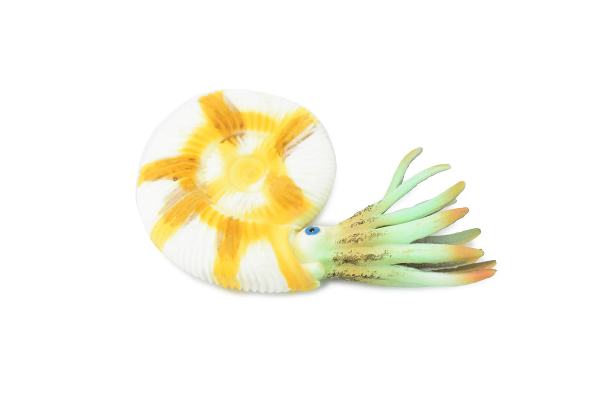 Ammonite Prehistoric Marine Animal, Ocean Fossil Museum Quality, Rubber, Hand Painted, Realistic Toy Figure, Model, Replica, Kids, Educational, 4 1/2 Inches.  