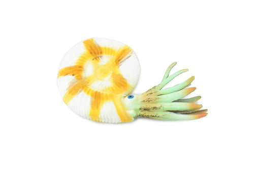 Ammonite Prehistoric Marine Animal, Ocean Fossil Museum Quality, Rubber, Hand Painted, Realistic Toy Figure, Model, Replica, Kids, Educational, 4 1/2 Inches.  