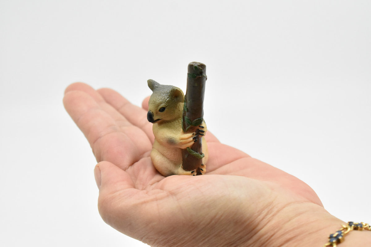 Koala Bear, Australian marsupial, Hand Painted, Museum Quality, Very Nice Plastic Design, Animal Figure, Educational, Diorama Model, Toy, Kids, 3 Inches Tall.