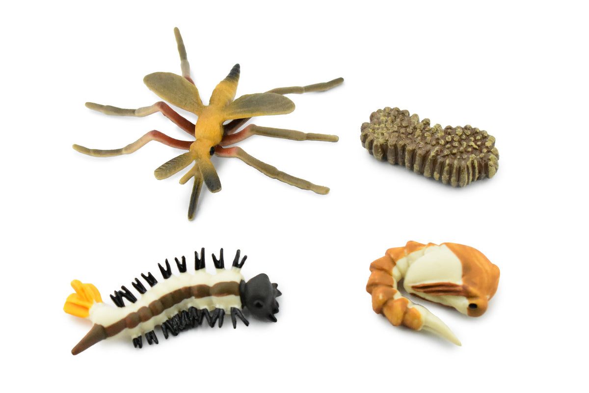 Mosquito Life Cycle, 4 Stages, Red, Very Nice Design, Educational, Hand Painted, Rubber Insect,  Diorama Model, Realistic, Kids, Toys,  2 1/2 Inches.