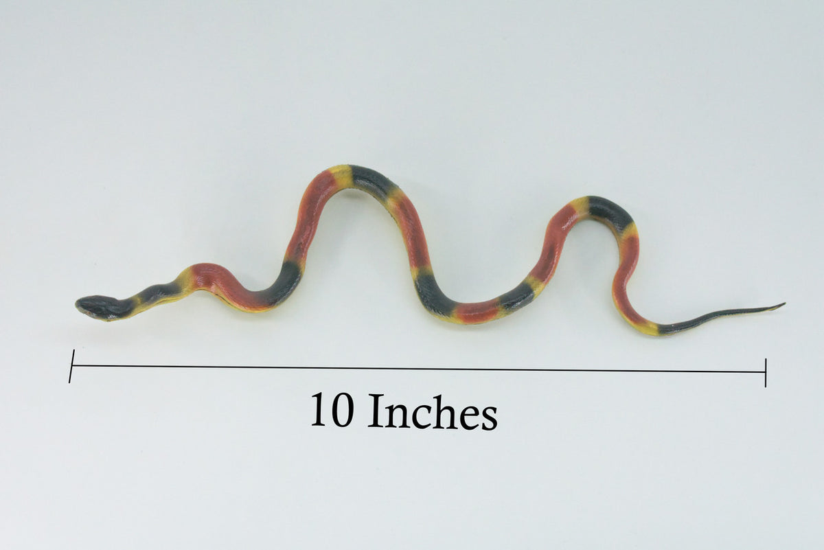 Coral snake, High Quality, Hand Painted, Hard Rubber, Realistic Reptile, Toy Figure, Model, Replica, Kids, Educational, Gift, 10"