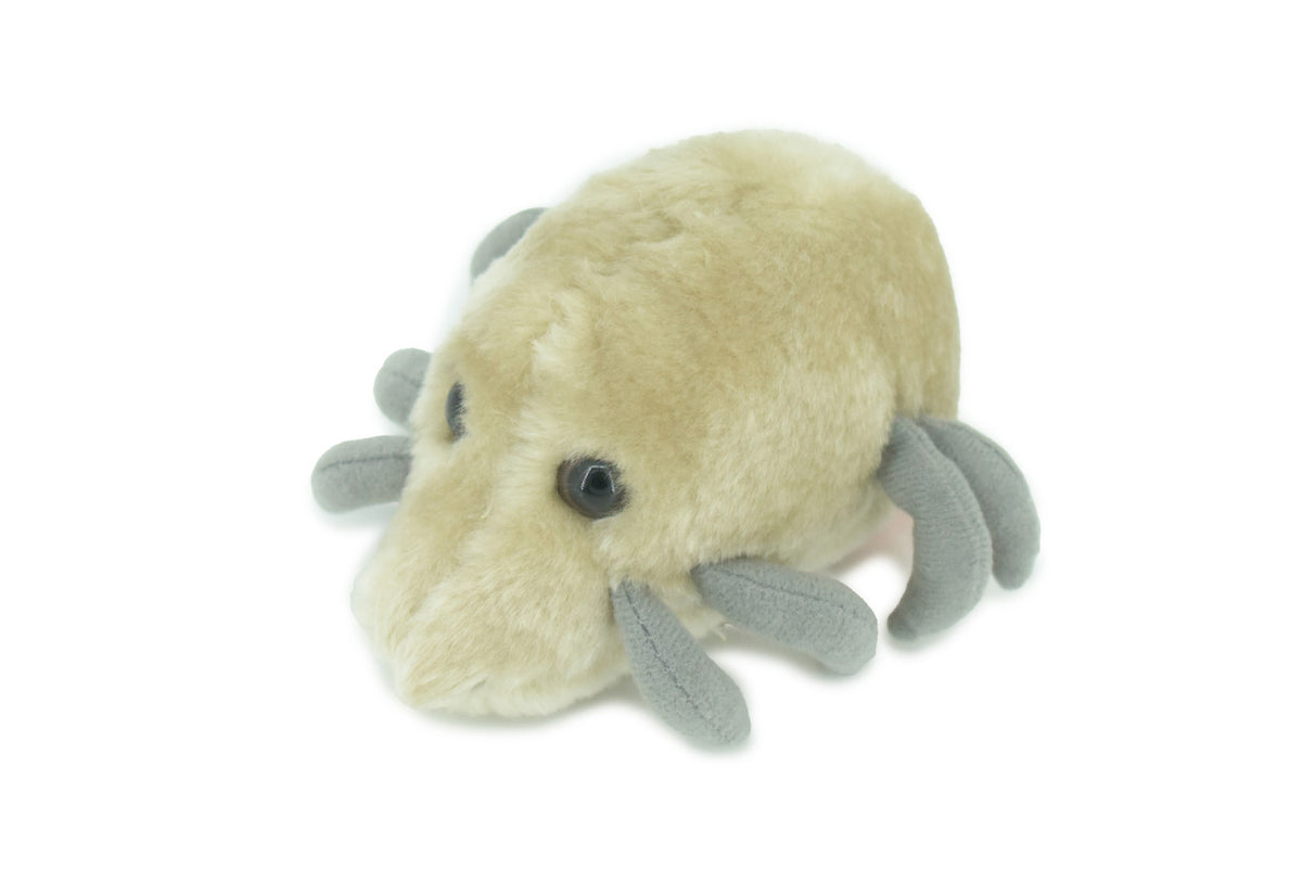Dust Mite, Dermatophagoides, are microscopic Arachnids, Plush Design, Educational, Figure, Replica, Gift,    5"   F1561 B137