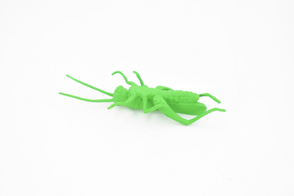 Grasshopper, Plastic Toy Animal, Kids Gift, Realistic Figure, Educational Model, Replica, Gift,    3 inches long     F1661 B74