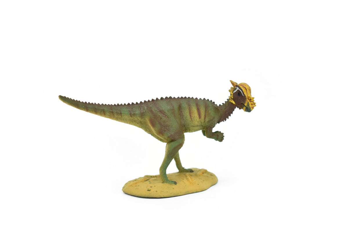 Pachycephalosaurus Dinosaur, Museum Quality, Animal, Educational, Realistic Hand Painted, Diorama Figure, Lifelike Model, Vintage Replica, Toy, 5 Inches. 