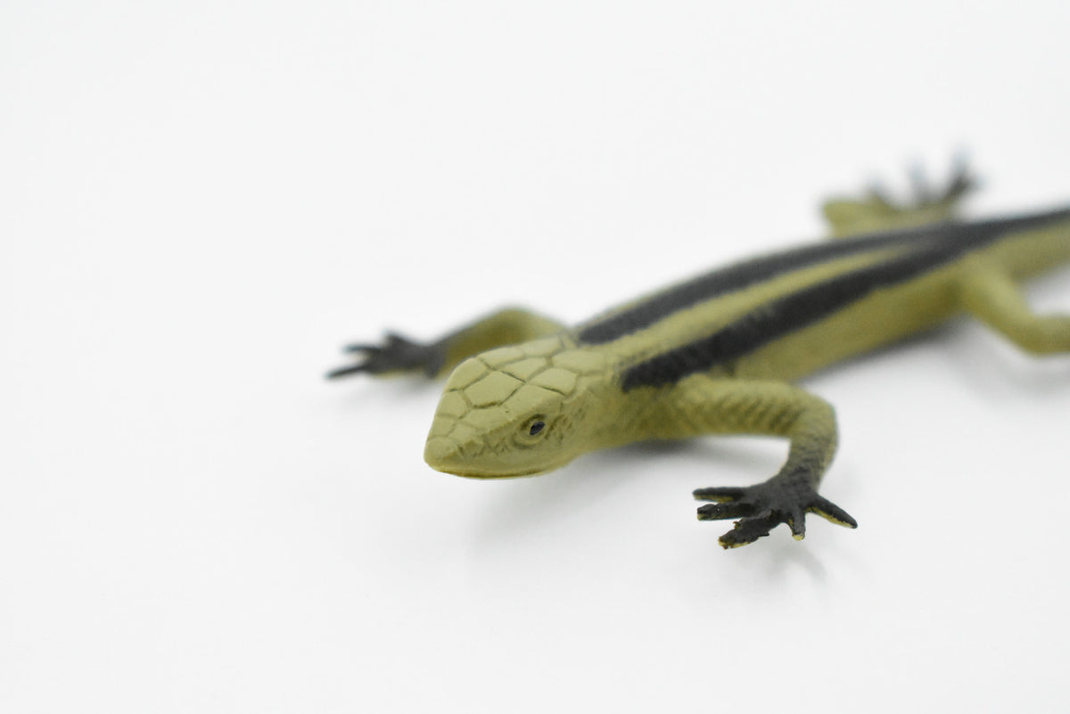 Lizard, Five-Lined Skink, Juvenile, Rubber, Reptile Toy, Realistic Figure, Model, Replica, Kids, Educational, Gift,       5"        F6106 B381