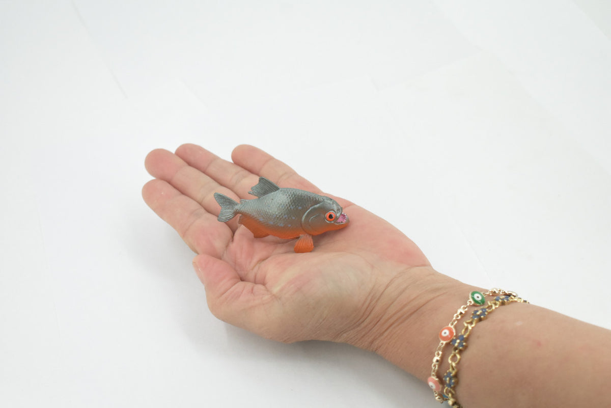 Fish, Red Bellied Pranha,  Museum Quality, Hand Painted, Realistic, Rubber Fish, Figure, Model, Replica, Toy, Kids, Educational, Gift,      2 3/4"   CH505 BB156