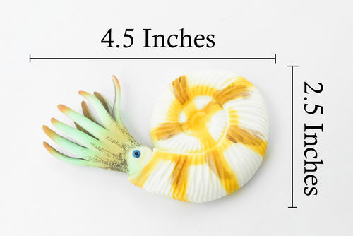 Ammonite Prehistoric Marine Animal, Ocean Fossil Museum Quality, Rubber, Hand Painted, Realistic Toy Figure, Model, Replica, Kids, Educational, 4 1/2 Inches.  