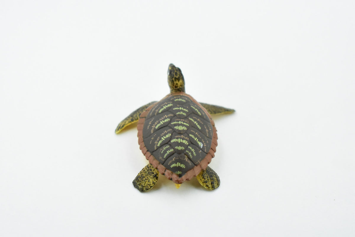 Hawksbill Sea Turtle, Rubber Reptile, Hand Painted, Museum Quality, Educational, Realistic Toy Figure, Diorama Model, Kids, Gift,     2 1/2 Inches.    CH417 BB108