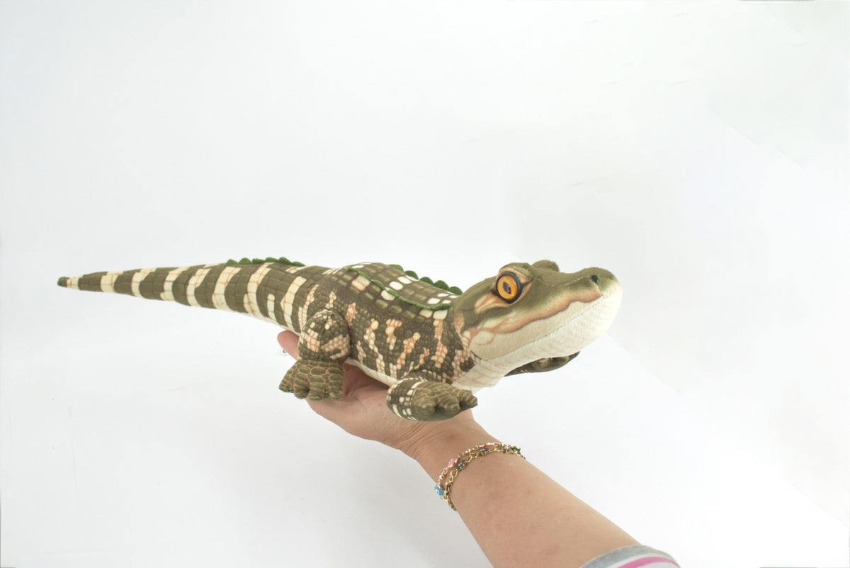 Alligator, Crocodile, Baby, Stuffed Reptile, Educational, Plush Toy, Kids, Realistic Figure, Lifelike, Model, Replica, Gift,       20"        WR01 B260