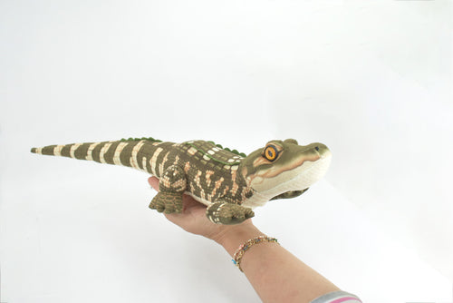 Alligator, Crocodile, Baby, Stuffed Reptile, Educational, Plush Toy, Kids, Realistic Figure, Lifelike, Model, Replica, Gift,       20"        WR01 B260