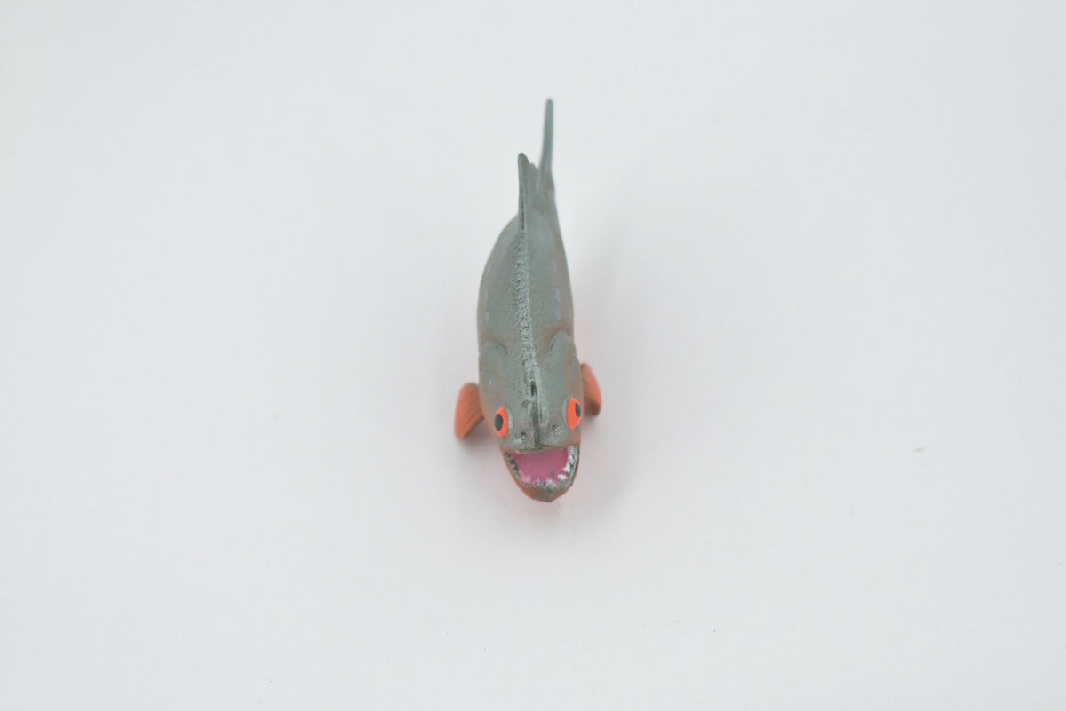 Fish, Red Bellied Pranha,  Museum Quality, Hand Painted, Realistic, Rubber Fish, Figure, Model, Replica, Toy, Kids, Educational, Gift,      2 3/4"   CH505 BB156