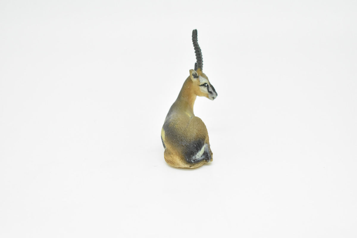 Oryx, Arabian oryx, Museum Quality, Realistic Plastic Animal Design, Educational, Hand Painted, Figure, Lifelike, Diorama Model, Figurine, Toy, Kids, Gift,    2 1/2 Inches.     CWG182 BB44